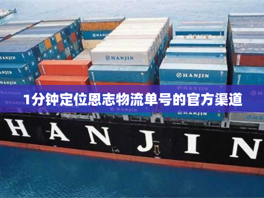 1分钟定位恩志物流单号的官方渠道