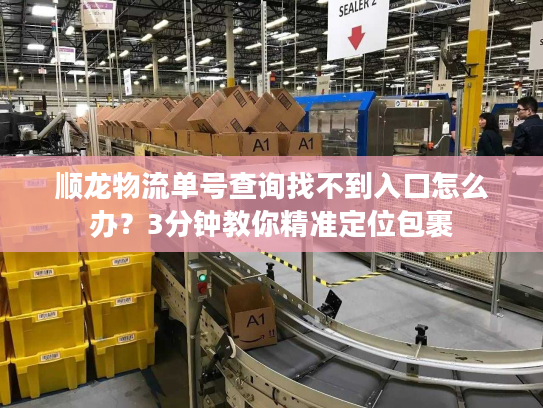 顺龙物流单号查询找不到入口怎么办?3分钟教你精准定位包裹 顺龙物流单号查询找不到入口怎么办?3分钟教你精准定位包裹