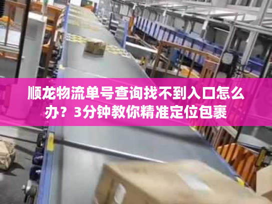 顺龙物流单号查询找不到入口怎么办?3分钟教你精准定位包裹 顺龙物流单号查询找不到入口怎么办?3分钟教你精准定位包裹