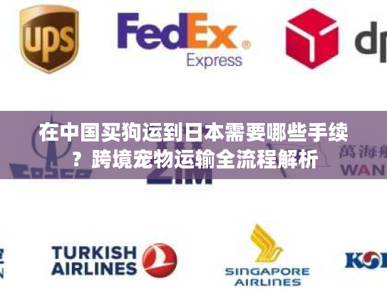在中国买狗运到日本需要哪些手续？跨境宠物运输全流程解析