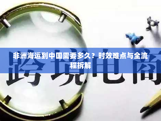 非洲海运到中国需要多久?时效难点与全流程拆解 非洲海运到中国需要多久?时效难点与全流程拆解