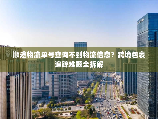 顺途物流单号查询不到物流信息?跨境包裹追踪难题全拆解 顺途物流单号查询不到物流信息?跨境包裹追踪难题全拆解