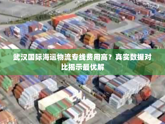 武汉国际海运物流专线费用高？真实数据对比揭示最优解