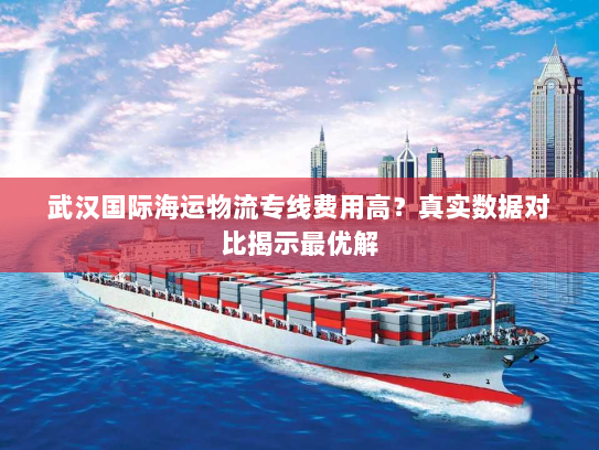 武汉国际海运物流专线费用高?真实数据对比揭示最优解 武汉国际海运物流专线费用高?真实数据对比揭示最优解