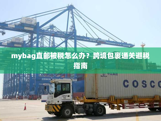 mybag直邮被税怎么办?跨境包裹通关避税指南 mybag直邮被税怎么办?跨境包裹通关避税指南