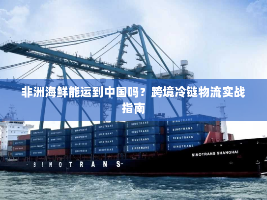 非洲海鲜能运到中国吗?跨境冷链物流实战指南 非洲海鲜能运到中国吗?跨境冷链物流实战指南