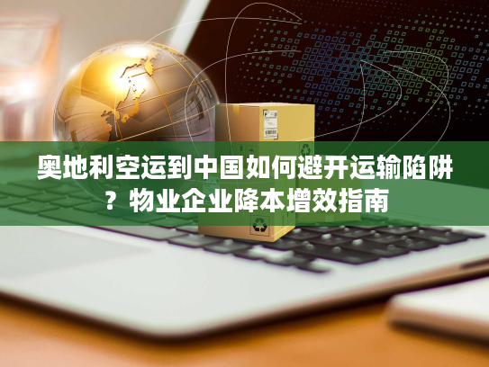 奥地利空运到中国如何避开运输陷阱？物业企业降本增效指南