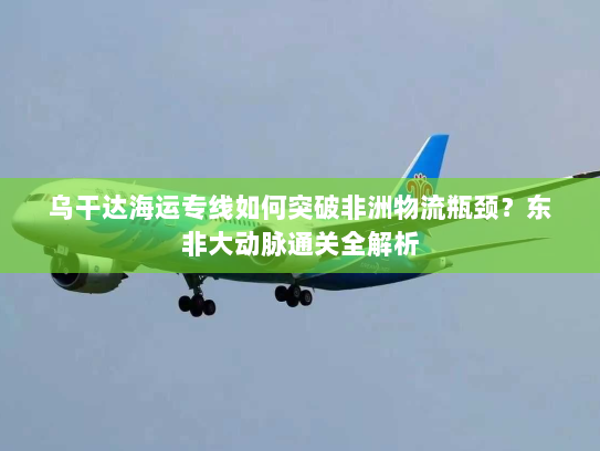 乌干达海运专线如何突破非洲物流瓶颈？东非大动脉通关全解析