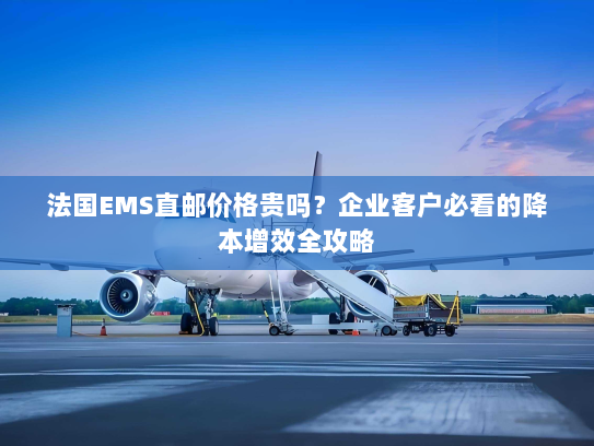 法国EMS直邮价格贵吗?企业客户必看的降本增效全攻略 法国EMS直邮价格贵吗?企业客户必看的降本增效全攻略