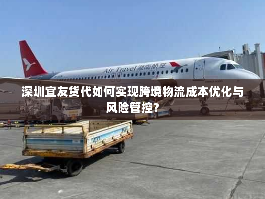 深圳宜友货代如何实现跨境物流成本优化与风险管控? 深圳宜友货代如何实现跨境物流成本优化与风险管控?