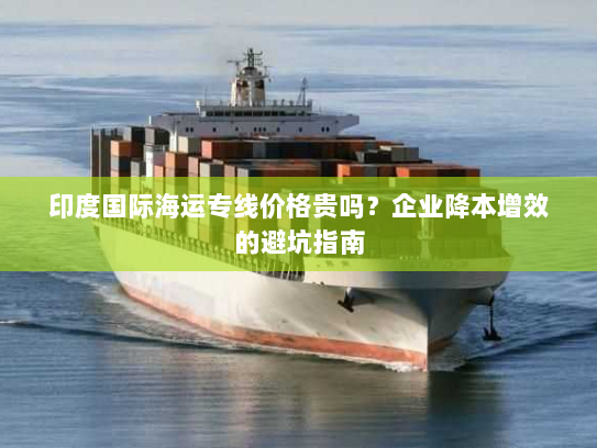印度国际海运专线价格贵吗？企业降本增效的避坑指南