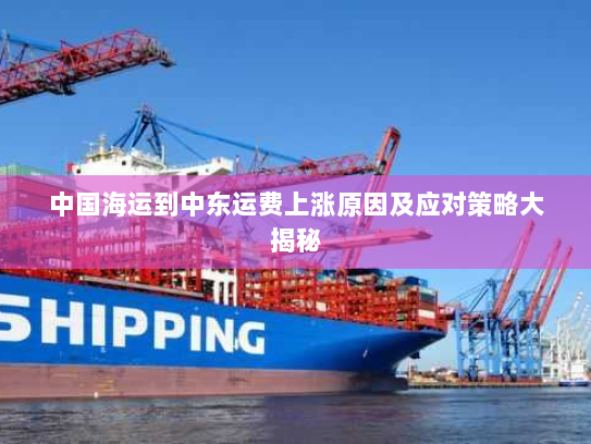 中国海运到中东运费上涨原因及应对策略大揭秘 中国海运到中东运费上涨原因及应对策略大揭秘