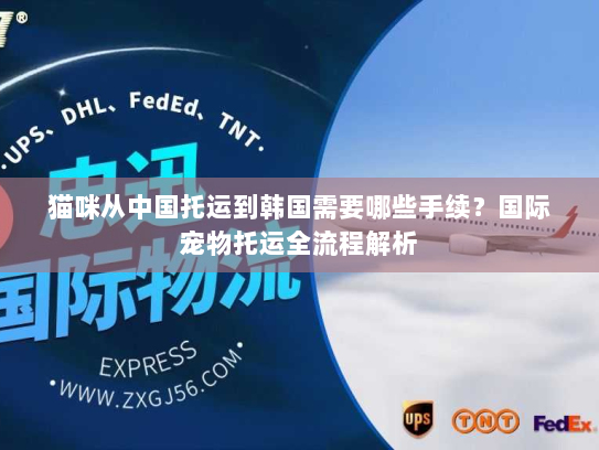 猫咪从中国托运到韩国需要哪些手续?国际宠物托运全流程解析 猫咪从中国托运到韩国需要哪些手续?国际宠物托运全流程解析