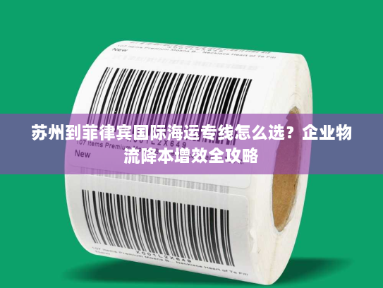 苏州到菲律宾国际海运专线怎么选？企业物流降本增效全攻略