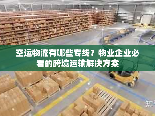 空运物流有哪些专线?物业企业必看的跨境运输解决方案 空运物流有哪些专线?物业企业必看的跨境运输解决方案