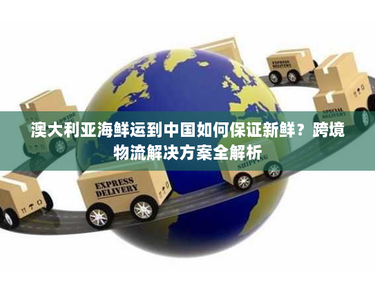 澳大利亚海鲜运到中国如何保证新鲜?跨境物流解决方案全解析 澳大利亚海鲜运到中国如何保证新鲜?跨境物流解决方案全解析