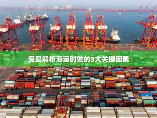 深度解析海运时效的3大关键因素