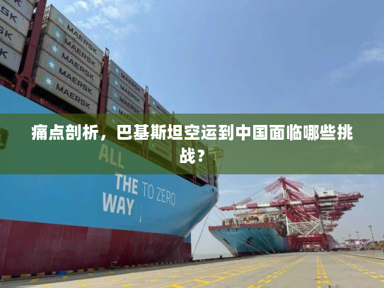 痛点剖析，巴基斯坦空运到中国面临哪些挑战？