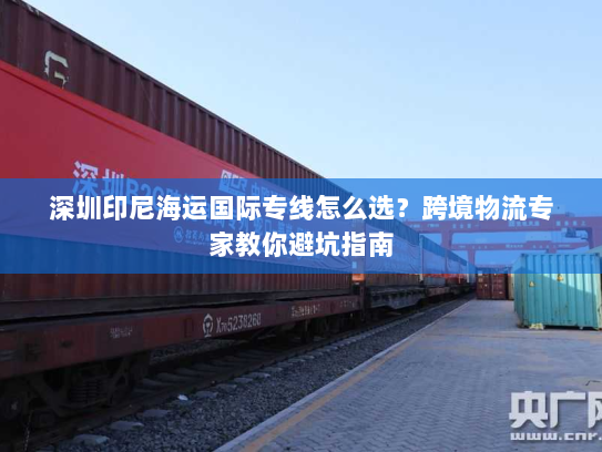 深圳印尼海运国际专线怎么选?跨境物流专家教你避坑指南 深圳印尼海运国际专线怎么选?跨境物流专家教你避坑指南