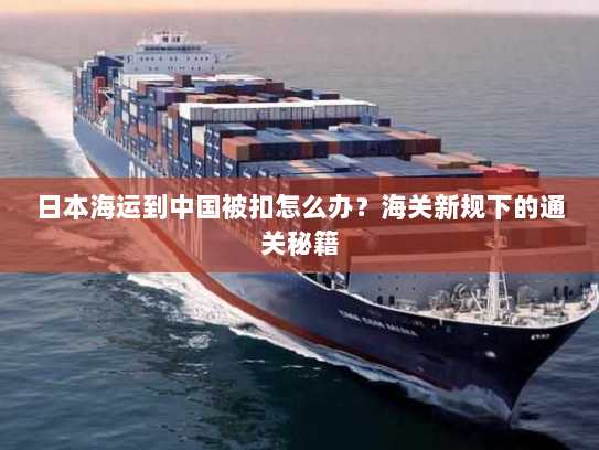 日本海运到中国被扣怎么办?海关新规下的通关秘籍 日本海运到中国被扣怎么办?海关新规下的通关秘籍