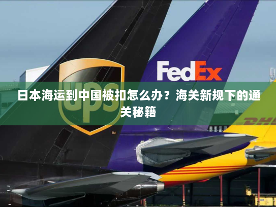 日本海运到中国被扣怎么办?海关新规下的通关秘籍 日本海运到中国被扣怎么办?海关新规下的通关秘籍