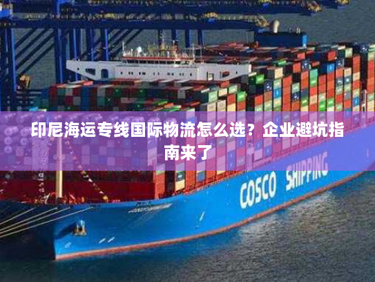 印尼海运专线国际物流怎么选?企业避坑指南来了 印尼海运专线国际物流怎么选?企业避坑指南来了