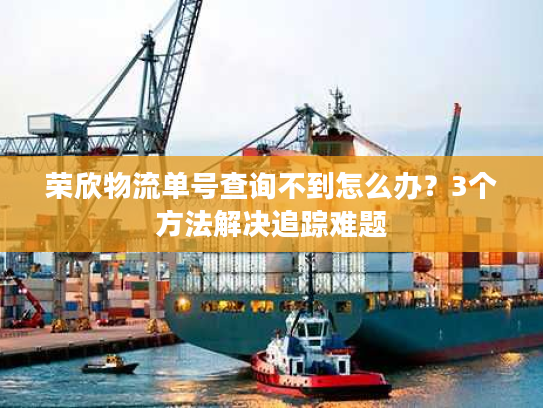 荣欣物流单号查询不到怎么办？3个方法解决追踪难题