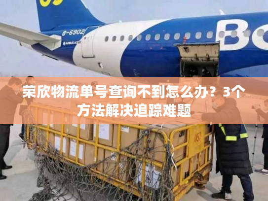 荣欣物流单号查询不到怎么办？3个方法解决追踪难题