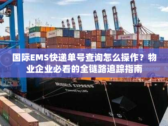 国际EMS快递单号查询怎么操作?物业企业必看的全链路追踪指南 国际EMS快递单号查询怎么操作?物业企业必看的全链路追踪指南