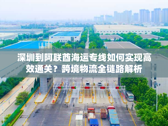 深圳到阿联酋海运专线如何实现高效通关？跨境物流全链路解析