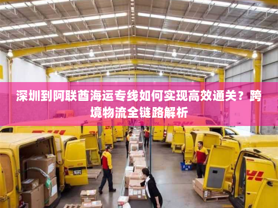 深圳到阿联酋海运专线如何实现高效通关?跨境物流全链路解析 深圳到阿联酋海运专线如何实现高效通关?跨境物流全链路解析