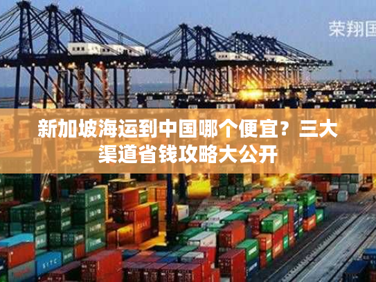 新加坡海运到中国哪个便宜？三大渠道省钱攻略大公开