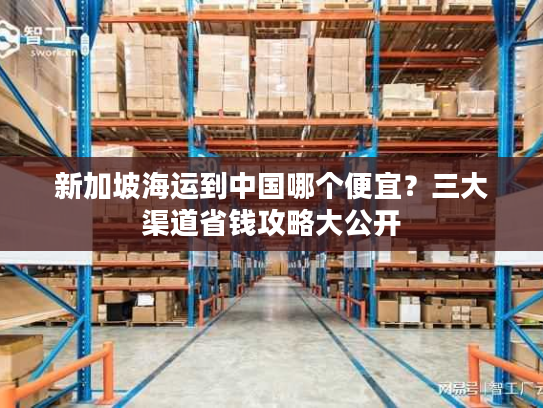 新加坡海运到中国哪个便宜？三大渠道省钱攻略大公开
