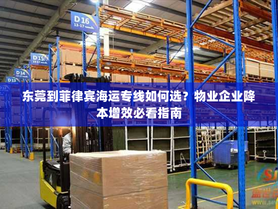 东莞到菲律宾海运专线如何选?物业企业降本增效必看指南 东莞到菲律宾海运专线如何选?物业企业降本增效必看指南