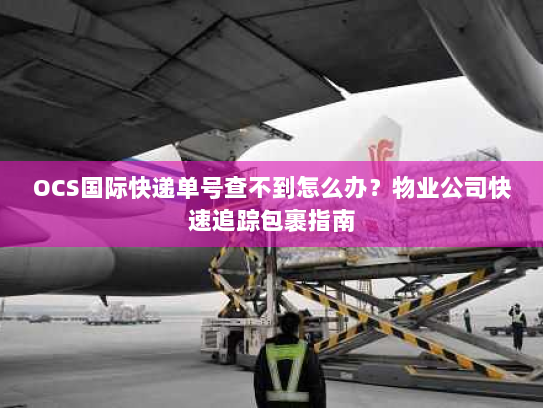 OCS国际快递单号查不到怎么办？物业公司快速追踪包裹指南
