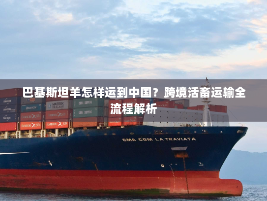 巴基斯坦羊怎样运到中国？跨境活畜运输全流程解析