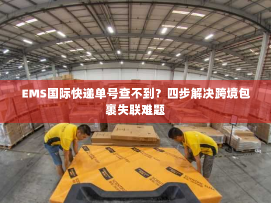 EMS国际快递单号查不到？四步解决跨境包裹失联难题