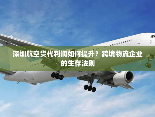 深圳航空货代利润如何提升?跨境物流企业的生存法则 深圳航空货代利润如何提升?跨境物流企业的生存法则