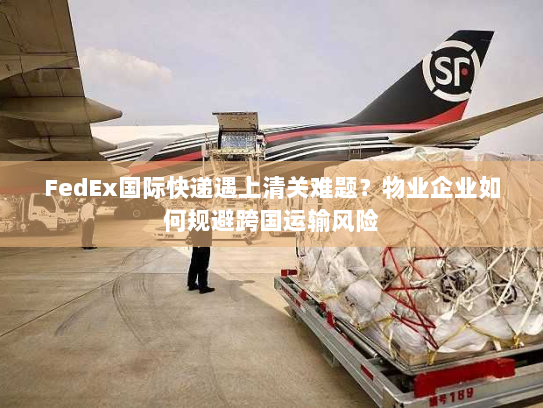 FedEx国际快递遇上清关难题？物业企业如何规避跨国运输风险