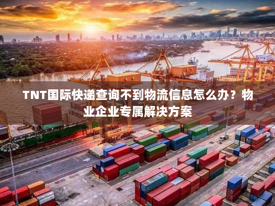 TNT国际快递查询不到物流信息怎么办？物业企业专属解决方案