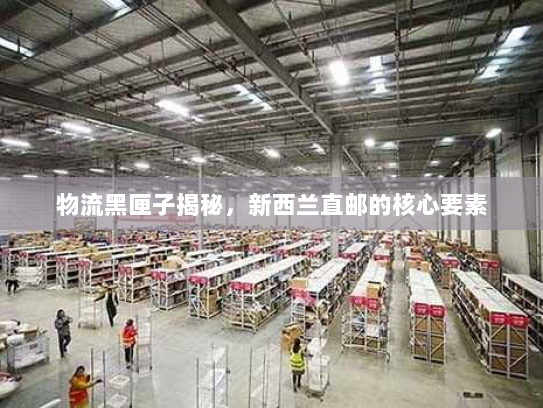 物流黑匣子揭秘,新西兰直邮的核心要素 物流黑匣子揭秘,新西兰直邮的核心要素
