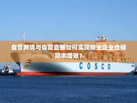 自营跨境与自营直邮如何实现物业企业仓储降本增效? 自营跨境与自营直邮如何实现物业企业仓储降本增效?