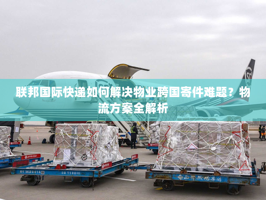 联邦国际快递如何解决物业跨国寄件难题?物流方案全解析 联邦国际快递如何解决物业跨国寄件难题?物流方案全解析