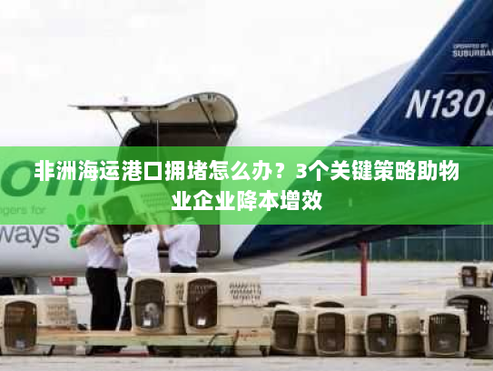 非洲海运港口拥堵怎么办?3个关键策略助物业企业降本增效 非洲海运港口拥堵怎么办?3个关键策略助物业企业降本增效