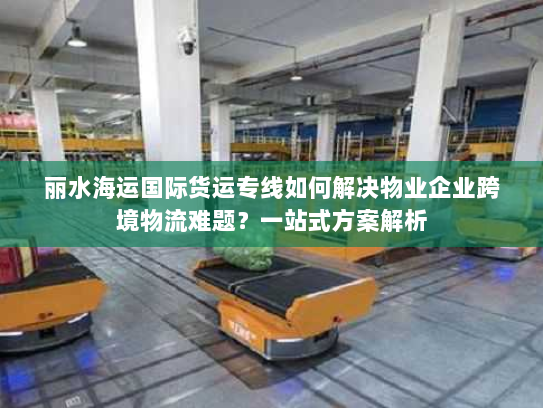 丽水海运国际货运专线如何解决物业企业跨境物流难题?一站式方案解析 丽水海运国际货运专线如何解决物业企业跨境物流难题?一站式方案解析