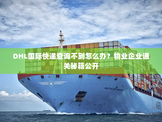 DHL国际快递查询不到怎么办?物业企业通关秘籍公开 DHL国际快递查询不到怎么办?物业企业通关秘籍公开
