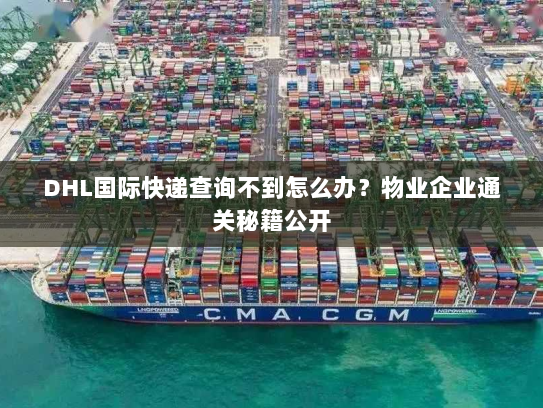 DHL国际快递查询不到怎么办?物业企业通关秘籍公开 DHL国际快递查询不到怎么办?物业企业通关秘籍公开