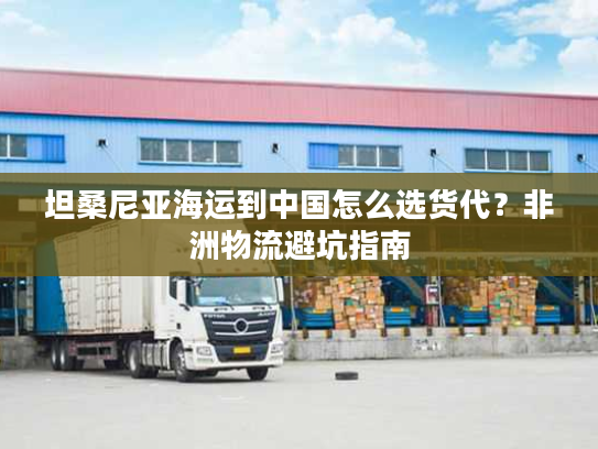 坦桑尼亚海运到中国怎么选货代？非洲物流避坑指南