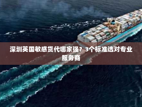 深圳英国敏感货代哪家强？3个标准选对专业服务商