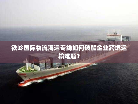 铁岭国际物流海运专线如何破解企业跨境运输难题? 铁岭国际物流海运专线如何破解企业跨境运输难题?